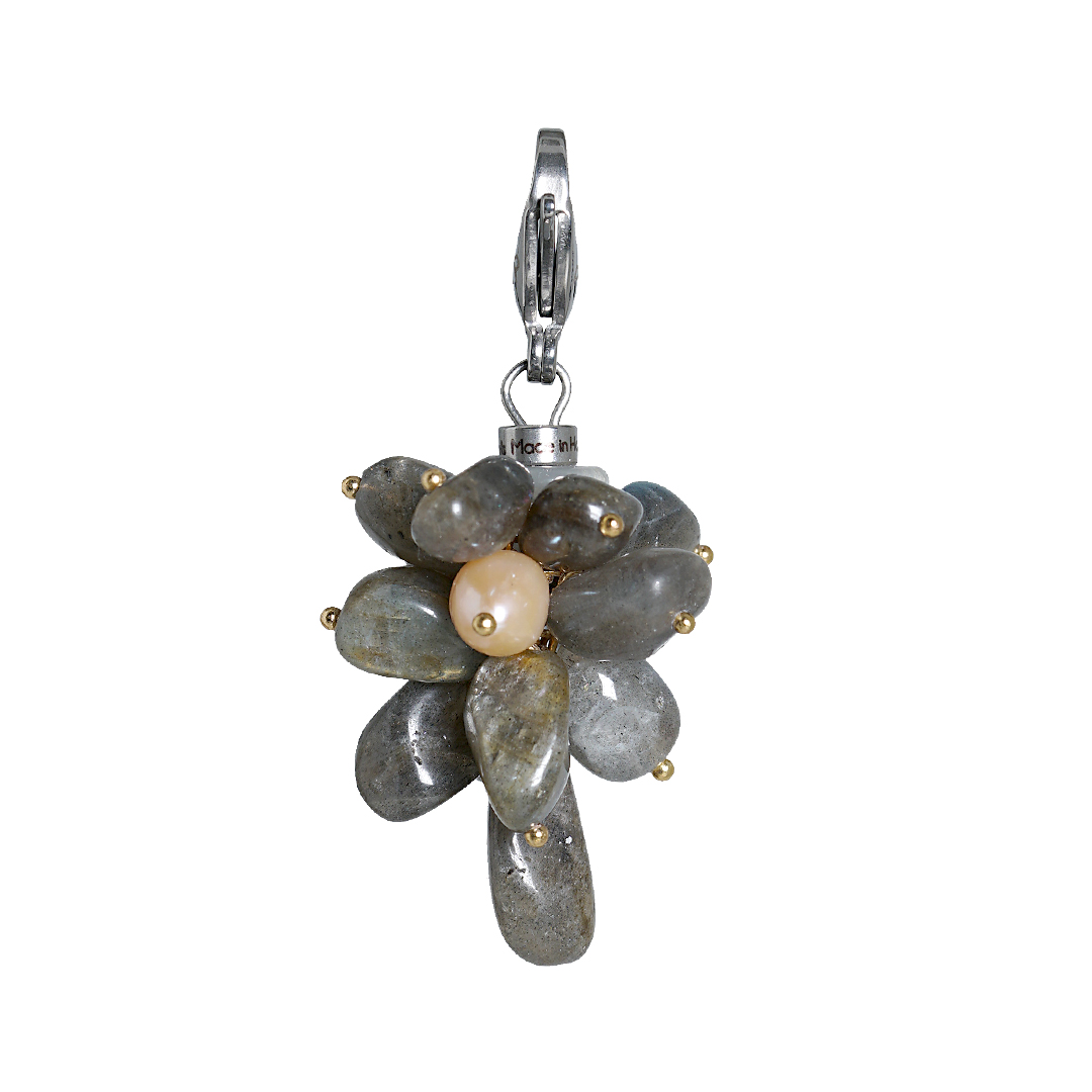824 31 Edelsteen bedel Labradoriet grijs zilver Join Us